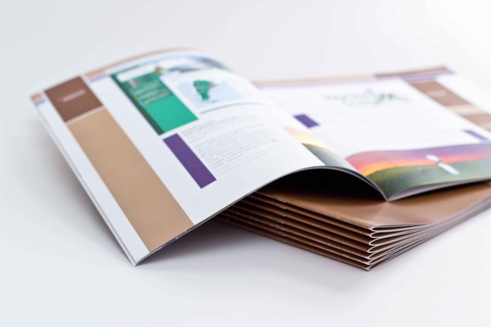Livre photo près de Clapiers