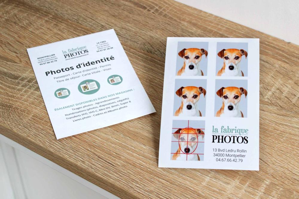 Photos identite
