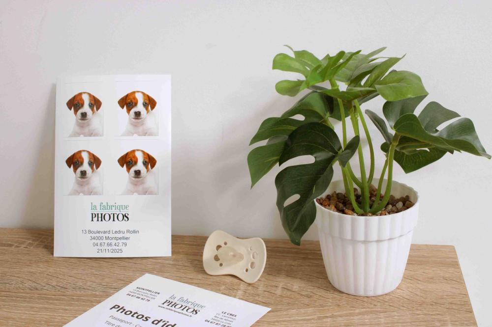 Photos identite enfant nourisson